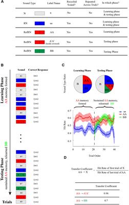 Temporal Organization of Sound Information in Auditory Memory